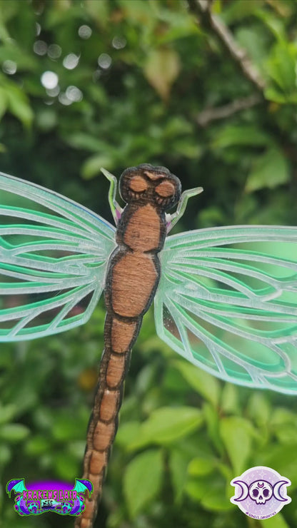 Dragonfly wall hanging/suncatcher