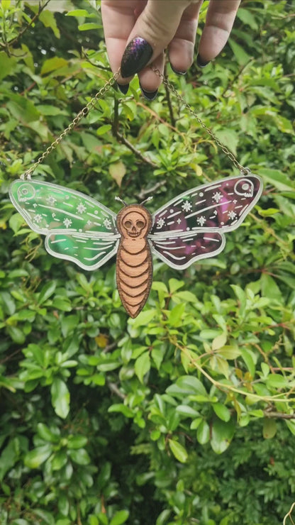 Death Head Moth wall hanging/suncatcher